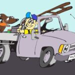 Ute pick-up & delivery